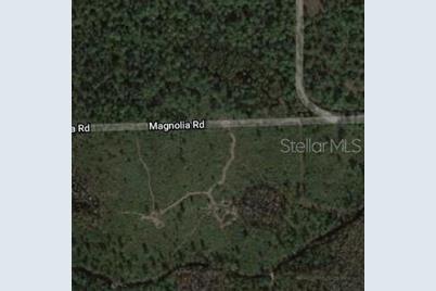 Magnolia Road, New Smyrna Beach, FL 32168 - Photo 1