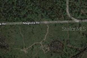 Magnolia Rd, New Smyrna Beach, FL 32168 - Photo 1
