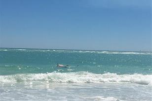 [Address not provided], Sarasota, FL 34236 - Photo 12