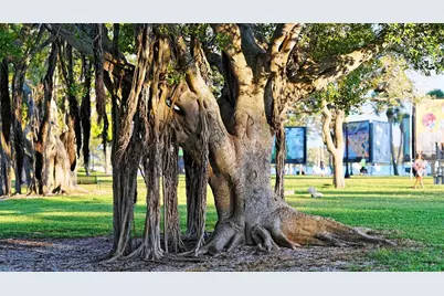 1350 Main Street #903, Sarasota, FL 34236 - Photo 62