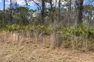 4219 E 30th St, Alva, FL 33920 - Photo 1