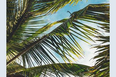 8770 Midnight Pass Road #402B, Sarasota, FL 34242 - Photo 62