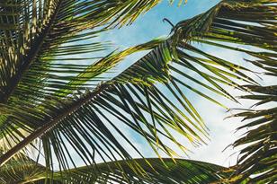 8770 Midnight Pass Rd, Sarasota, FL 34242 - Photo 62