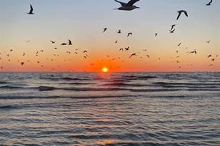 1046 W Peppertree Ln, Sarasota, FL 34242 - Photo 42