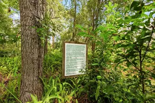 5120 Tari Stream Way, Brandon, FL 33511 - Photo 30