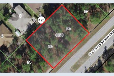 9206 N Citrus Springs Boulevard, Citrus Springs, FL 34433 - Photo 1