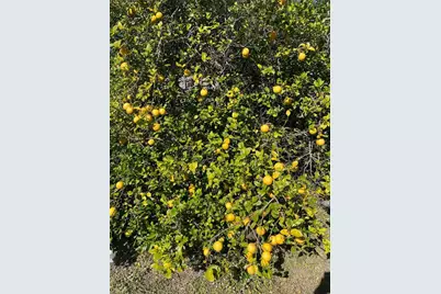 333 The Esplanade N #108, Venice, FL 34285 - Photo 46