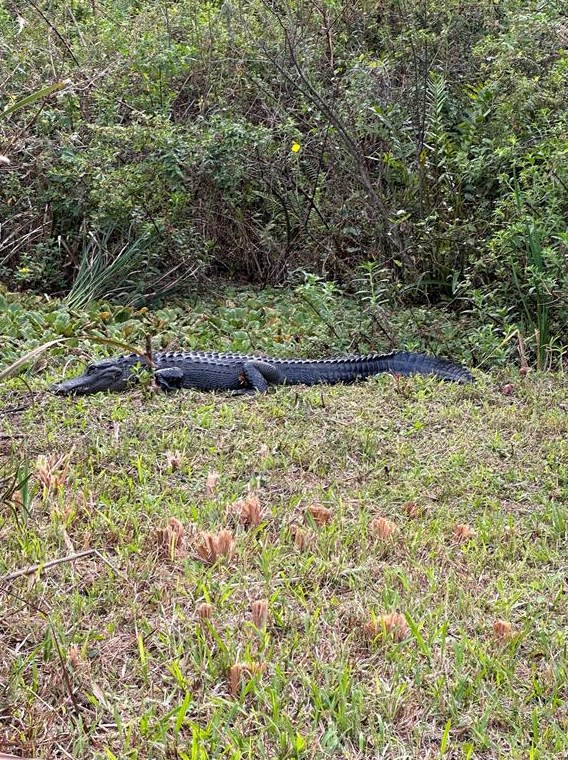 32971 Serene Dr, Punta Gorda FL 33982-9763 exterior