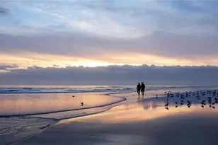 [Address not provided], Sarasota, FL 34236 - Photo 12