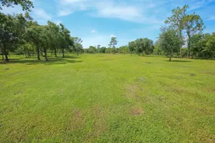 34452 Singletary Rd, Myakka City, FL 34251 - Photo 16