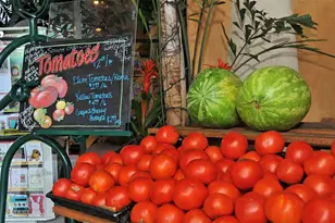 1747 Waldemere St, Sarasota, FL 34239 - Photo 68