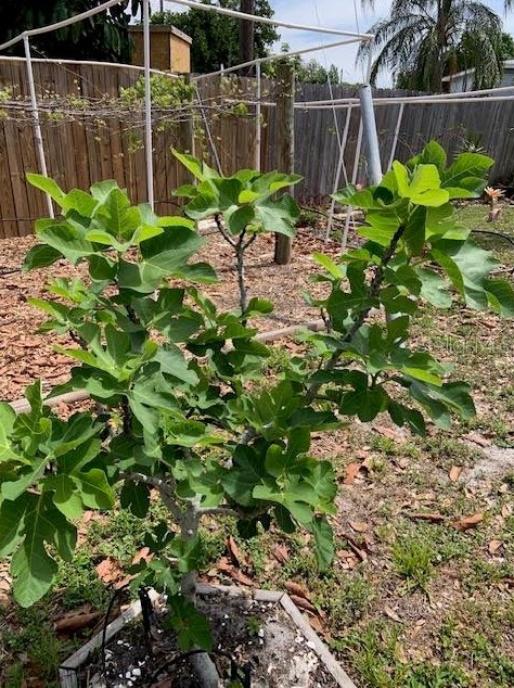 2068 Garden Ln, Bradenton FL  34207-8553 exterior