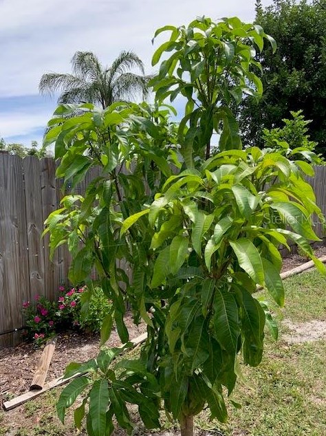 2068 Garden Ln, Bradenton FL  34207-8553 exterior