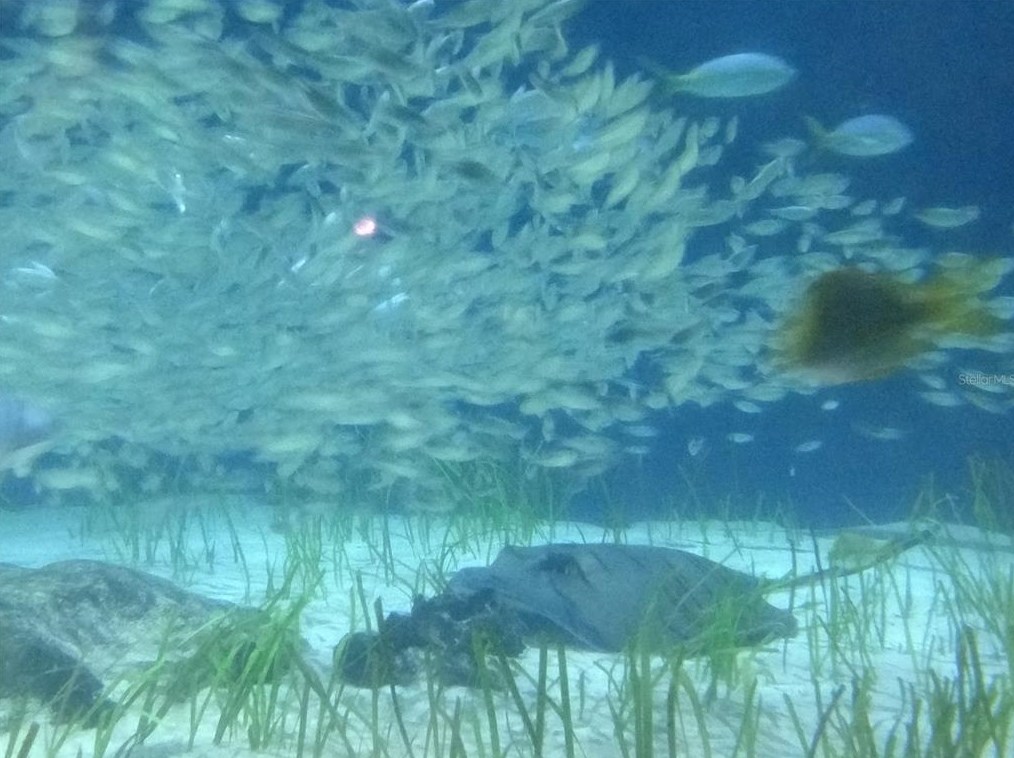 2051 Sunset Dr, Bradenton FL  exterior