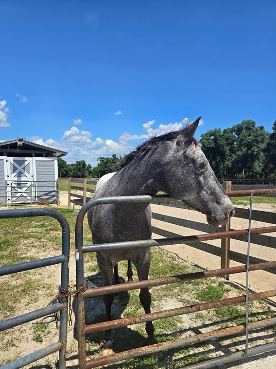 36400 Washington Loop Rd, Punta Gorda FL 33982-9589 exterior