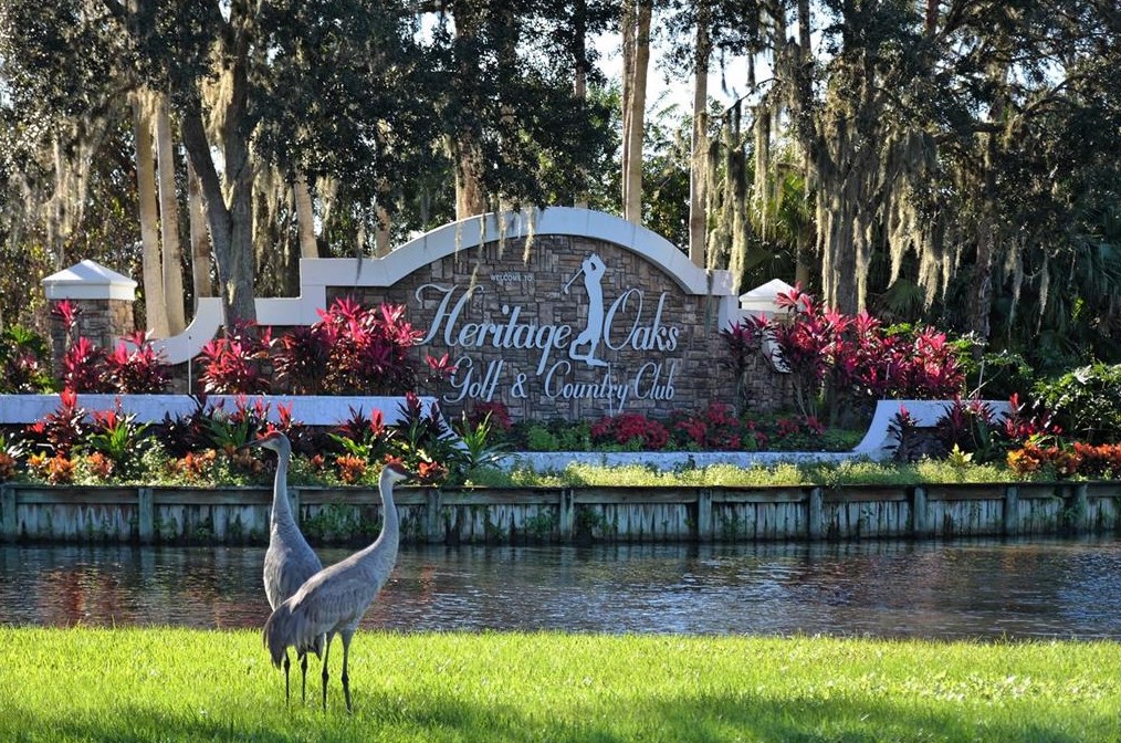 5240 Hyland Hills Ave #1424, Sarasota, FL 34241