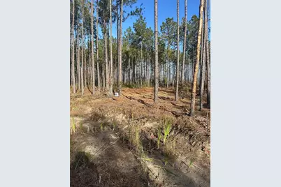 Tbd NW 133rd Path, Lake Butler, FL 32054 - Photo 2