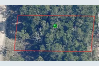 9861 N Baldwin Terrace, Dunnellon, FL 34434 - Photo 1