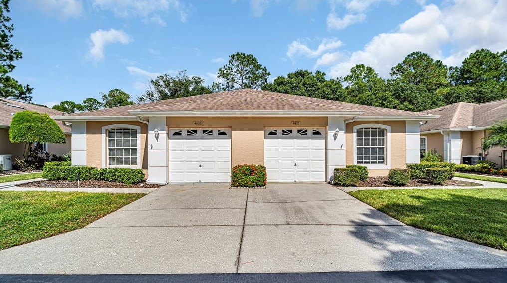 4437 Connery Ct, Palm Harbor, FL 34685