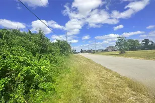 10 SW 24th Ave, Cape Coral, FL 33991 - Photo 2