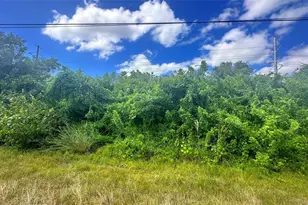 10 SW 24th Ave, Cape Coral, FL 33991 - Photo 1