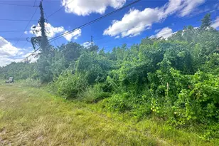 10 SW 24th Ave, Cape Coral, FL 33991 - Photo 4