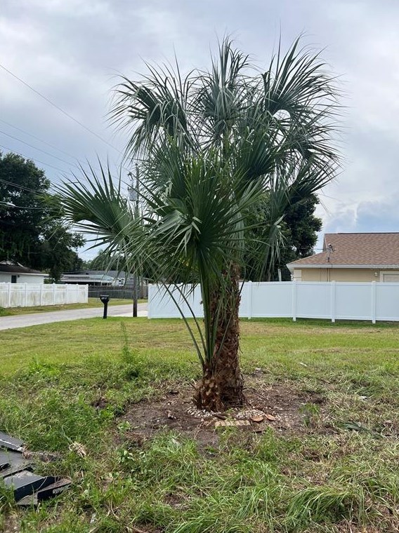 2633 20th St, Sarasota FL  34234-7805 exterior
