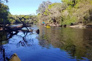 309 Shore T Rd, Nokomis, FL 34275 - Photo 36