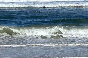 20 Bristol Ln, Palm Coast, FL 32137 - Photo 28