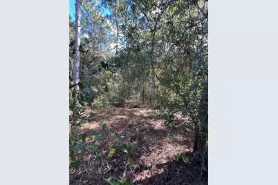 5650 W Kettle Lane, Crystal River, FL 34429 - Photo 16