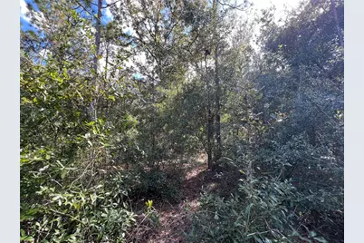 5650 W Kettle Lane, Crystal River, FL 34429 - Photo 10