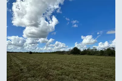 Wauchula Road, Myakka City, FL 34251 - Photo 4