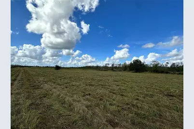 Wauchula Road, Myakka City, FL 34251 - Photo 6