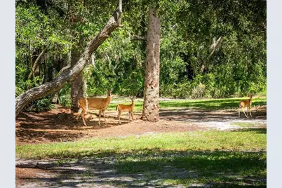 1245 Mill Creek Road, Bradenton, FL 34212 - Photo 54