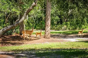 1245 Mill Creek Rd, Bradenton, FL 34212 - Photo 54