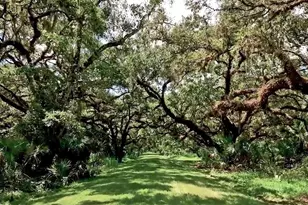 32206 Grand National Dr, Myakka City, FL 34251 - Photo 24