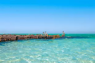 329 Tarpon St, Anna Maria, FL 34216 - Photo 48