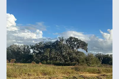 [Address not provided], Wauchula, FL 33873 - Photo 8
