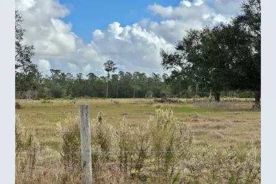 [Address not provided], Wauchula, FL 33873 - Photo 6