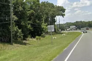 Us Hwy 301, Belleview, FL 34420 - Photo 1