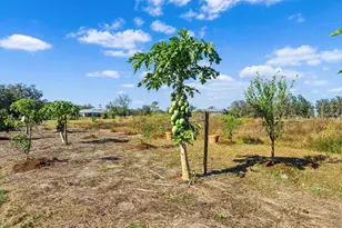 14900 Coker Gully Rd, Myakka City, FL 34251 - Photo 38