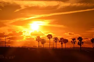 730 40th St, Sarasota, FL 34234 - Photo 52