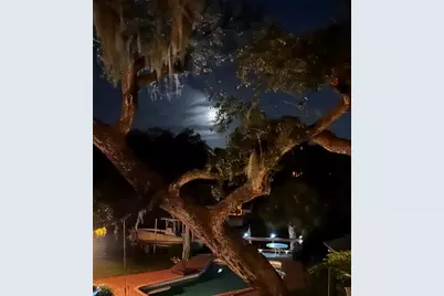 1827 Baywood Drive, Sarasota, FL 34231 - Photo 52