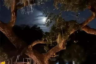 1827 Baywood Dr, Sarasota, FL 34231 - Photo 52