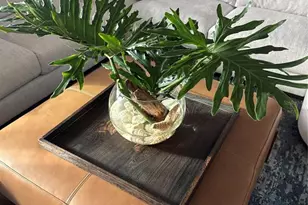 1323 Landings Dr, Sarasota, FL 34231 - Photo 14