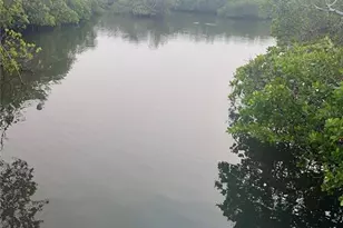 1323 Landings Dr, Sarasota, FL 34231 - Photo 42