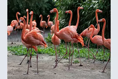 1323 Landings Drive #12, Sarasota, FL 34231 - Photo 52