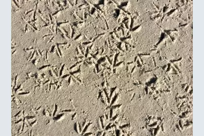 3710 Gulf Of Mexico Drive #D19, Longboat Key, FL 34228 - Photo 22