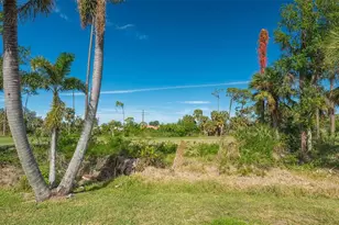 770 Egret Walk Ln, Venice, FL 34292 - Photo 54