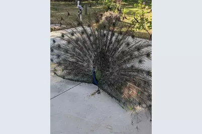 39200 Cook Brown Road, Punta Gorda, FL 33982 - Photo 24